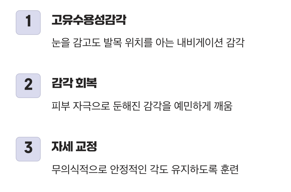 내 몸의 위치 감각을 깨우다