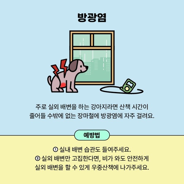 반려견 방광염