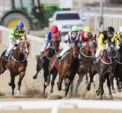 한국마사회 청년인턴·정규직 채용 총정리