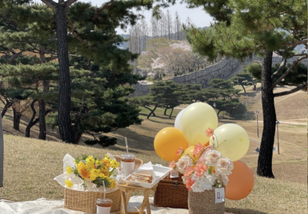 봄 소풍 카페 추천! 서울 경기 남해까지, 사진 맛집 피크닉 카페 BEST 4