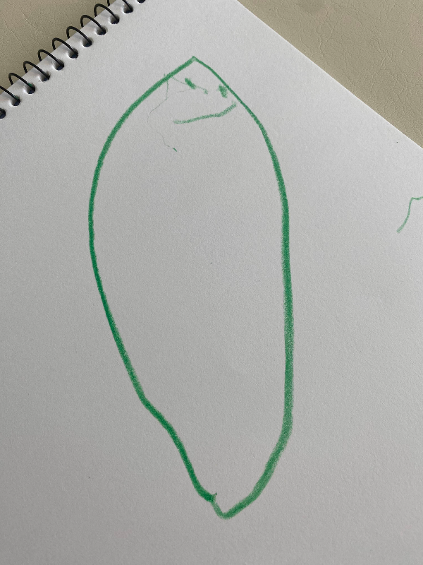 28개월 아기의 그림 실력