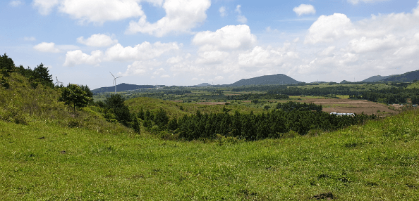 제주도 여행 가을 겨울 가볼만한 곳 오름 추천 입장료 소요시간 반려동물 동반
