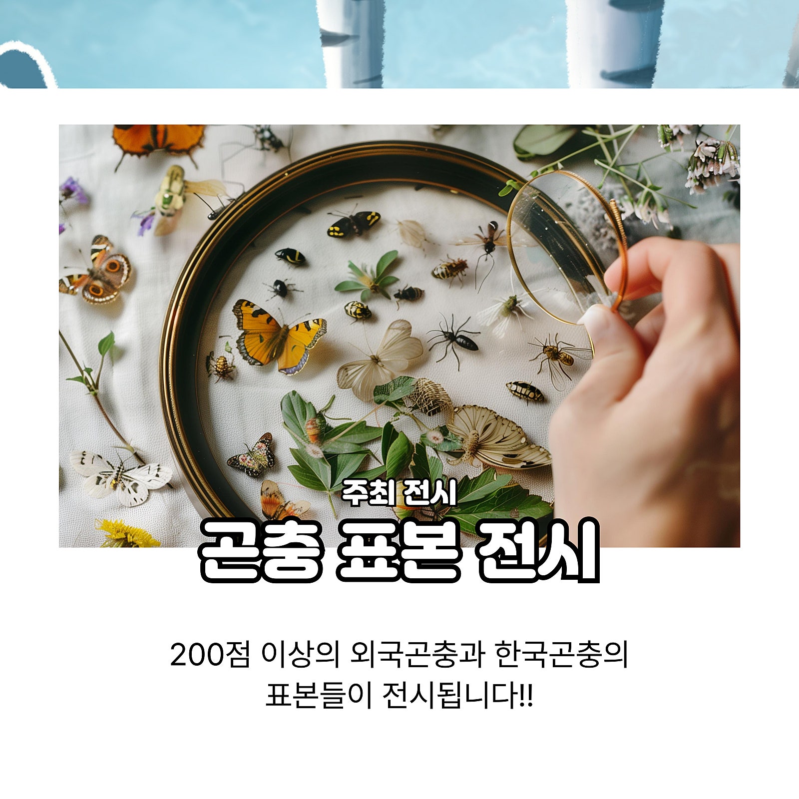 2025 수원 파충류 박람회 파동 포스터