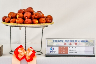 보은 대추축제 일정 및 온라인 장터 소개