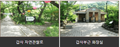 갑사풍경