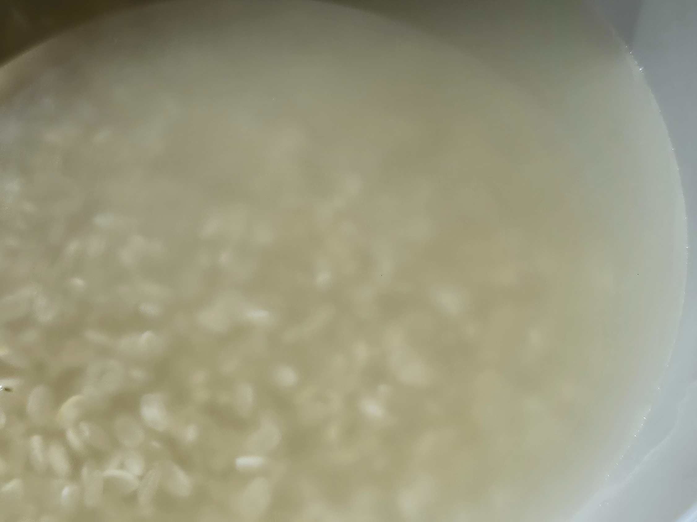 쌀뜨물 색깔이 탁하고 쟂빛