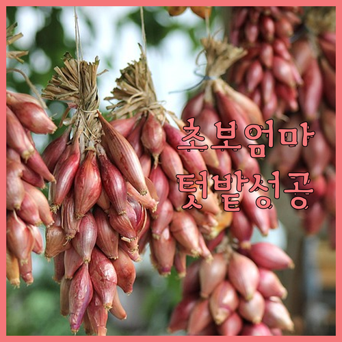 실패는 이제 그만! 초보 엄마를 위한