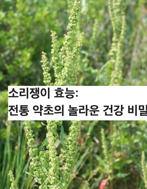 소리쟁이 효능: 전통 약초의 놀라운 건강 비밀