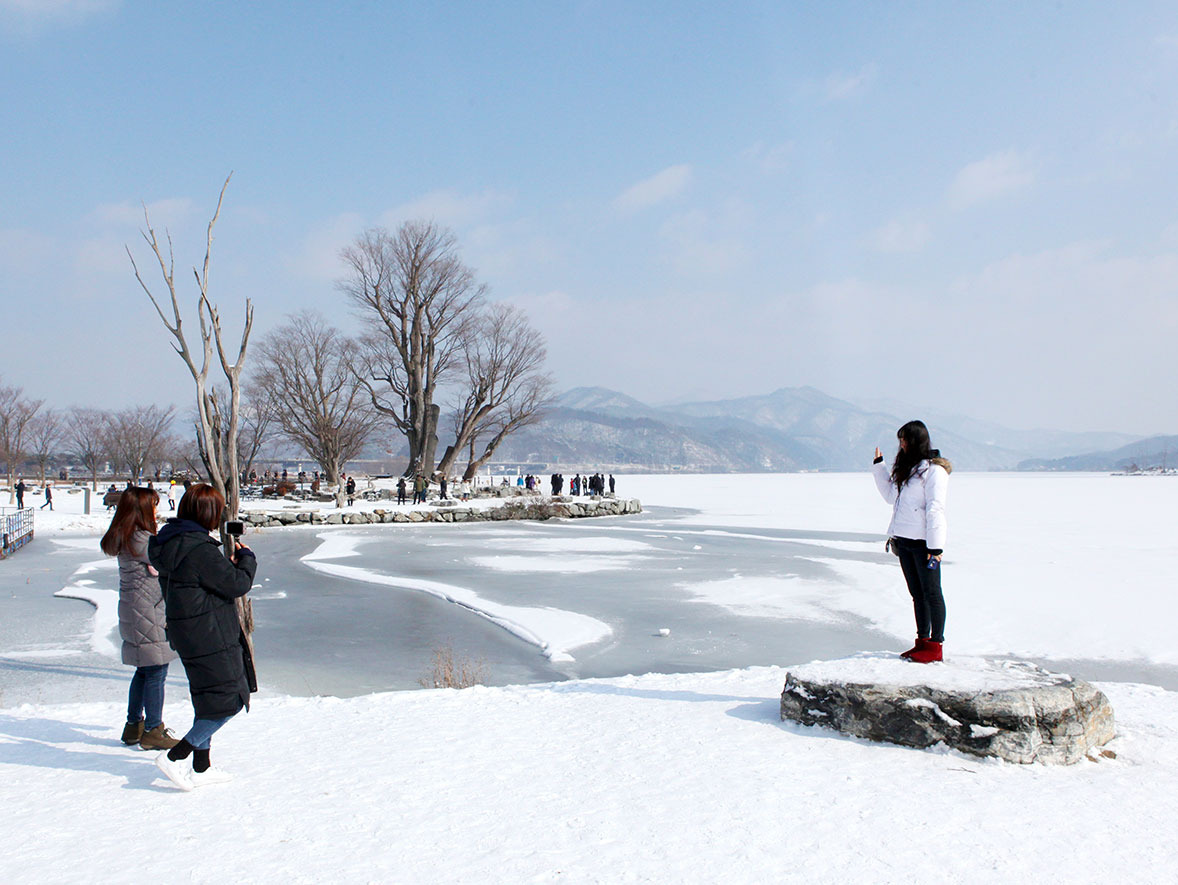 남양주 반려견 겨울 나들이 명소, 강아지와 함께 산책하기 좋은 곳 추천