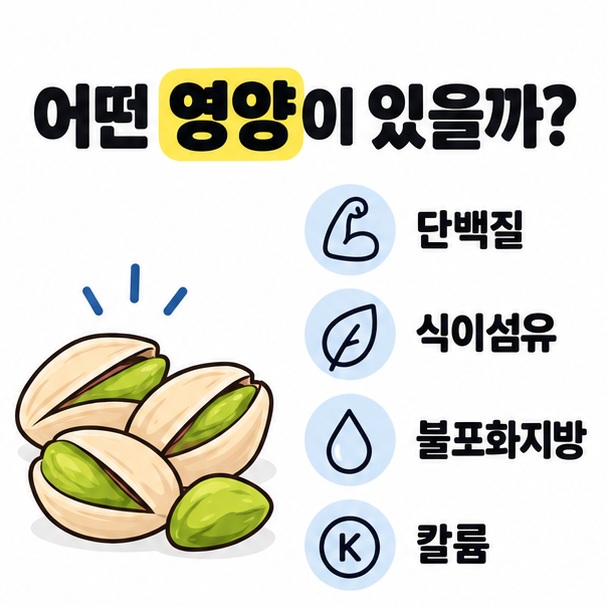 피스타치오 28g과 단백질, 식이섬유, 불포화지방, 칼륨 특징을 간단히 정리한 카드