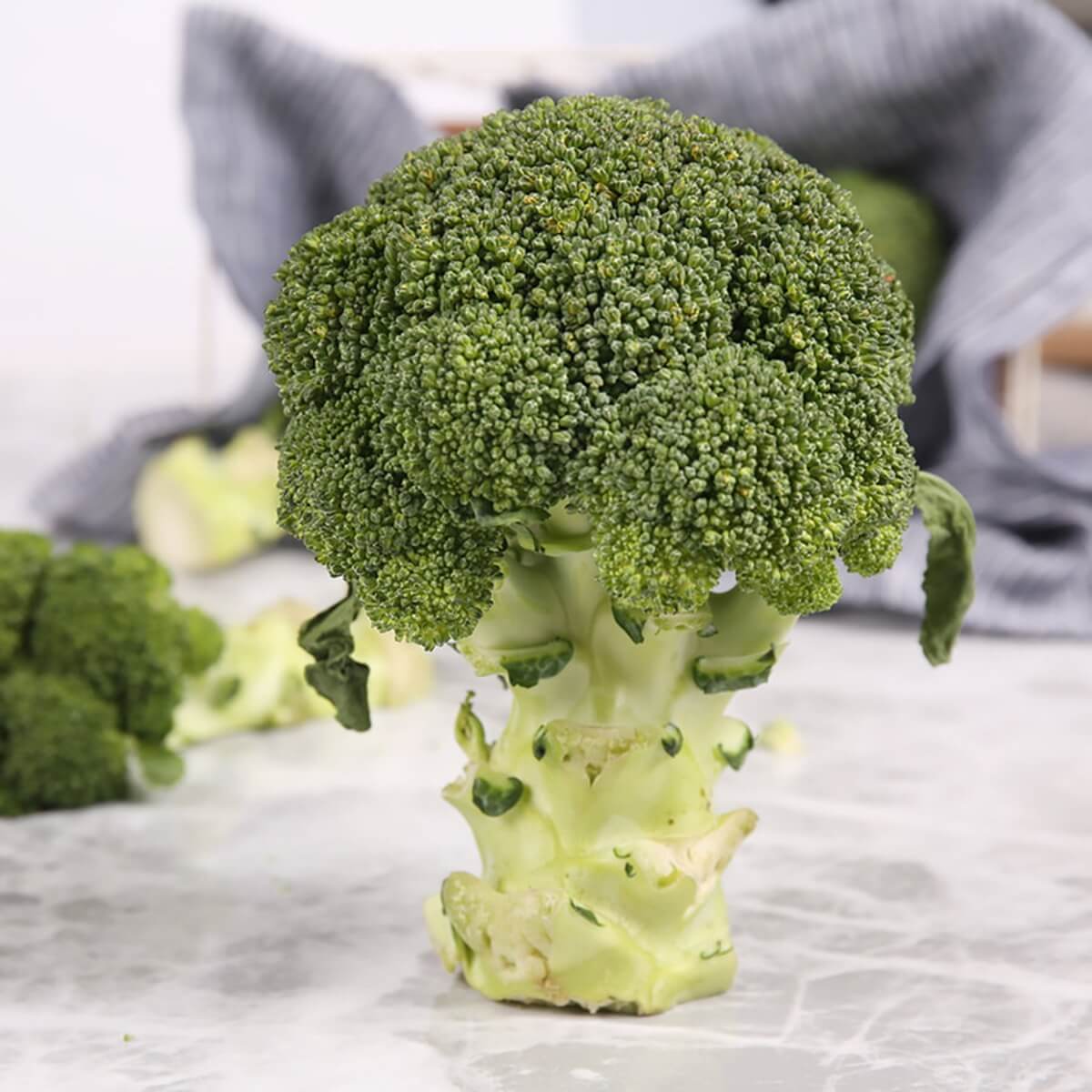 홈플러스 25주년 슈퍼세일 Best 11