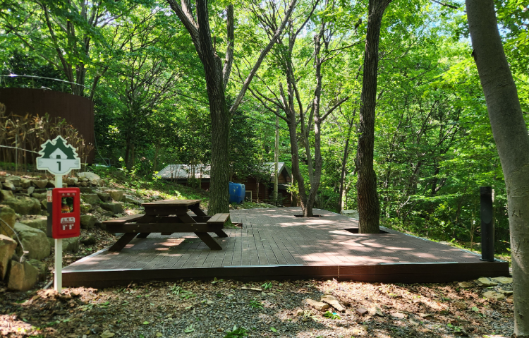 팔영산 자연휴양림