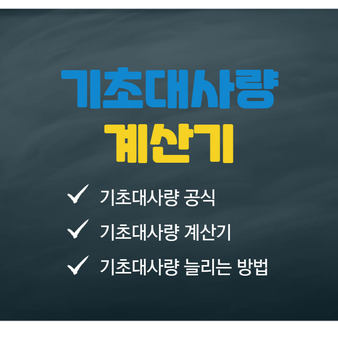 기초대사량 계산기 기초대사량 늘리는 방법