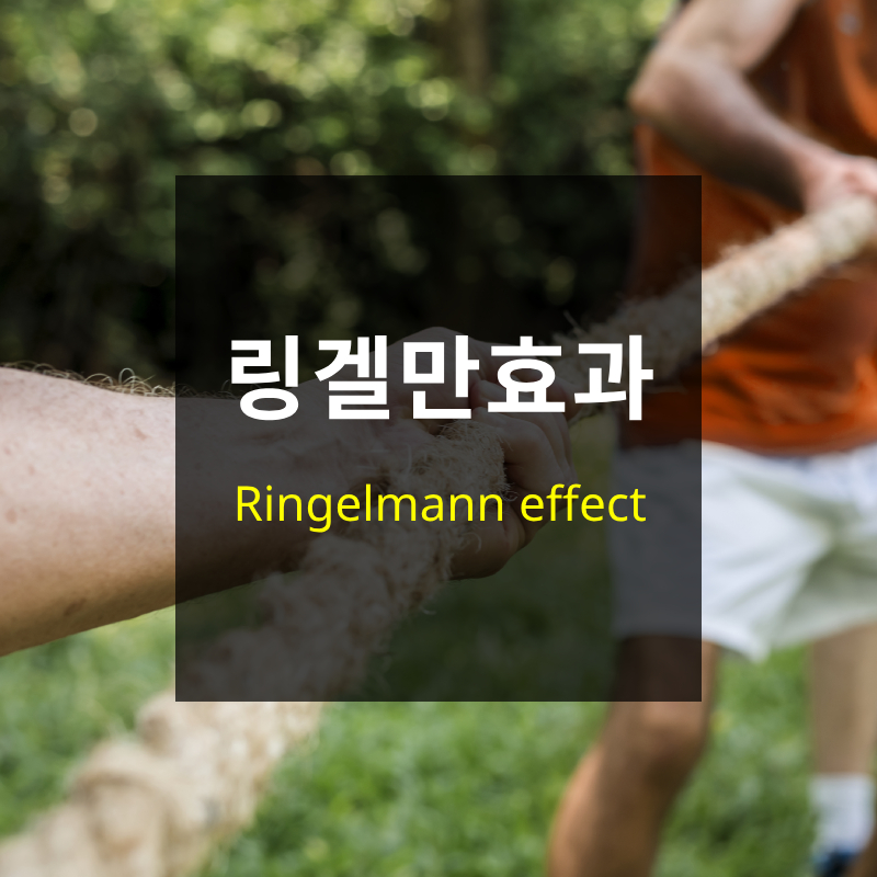 링겔만효과