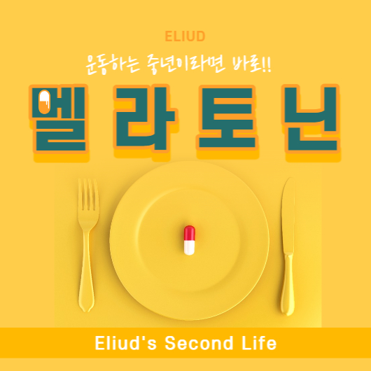 멜라토닌 역할&#44; 활동영영&#44; 항산화&#44; 체중감소 효과