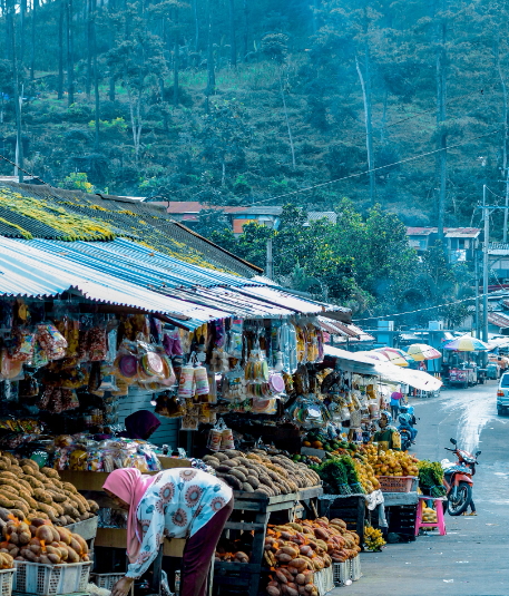 진에어, 노선별 운임,2024 하반기 진MARKET 초특가 할인!