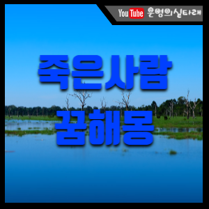 썸네일 사진