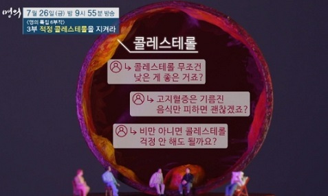 적정콜레스테롤