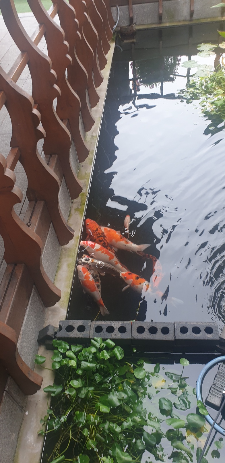 수원 삐에르몽테 제빵소