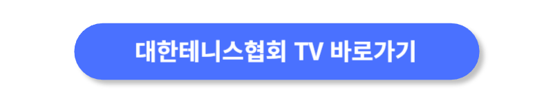 버튼