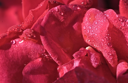 작은 사치가 우울감을 줄여주는 과학적 근거