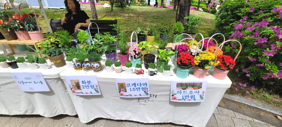 양평 산나물 축제 플리마켓