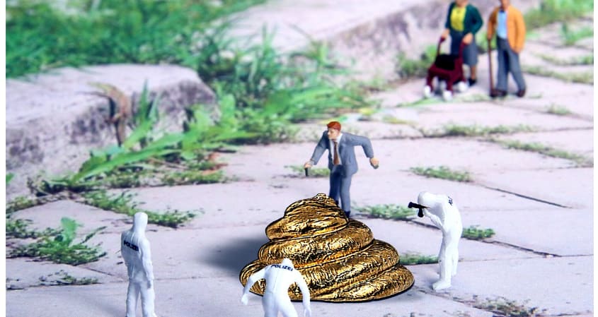 금 똥 사람 검사