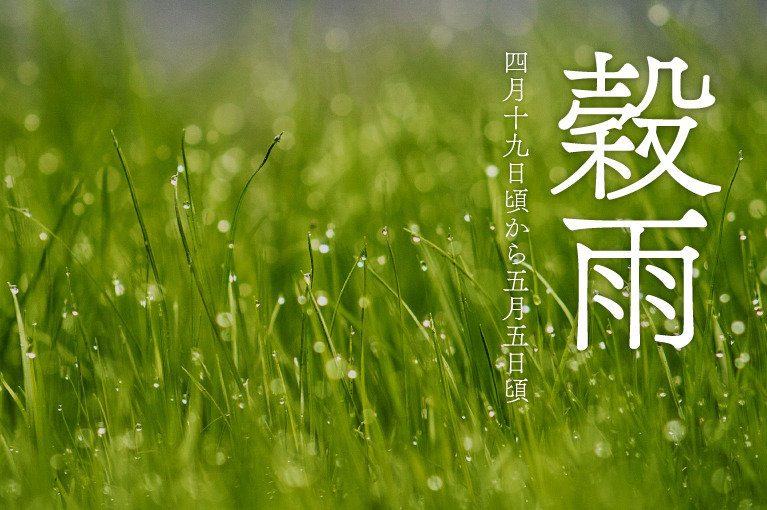 계절의 변화를 세분화한 24 절기 중 '곡우' 이해하기