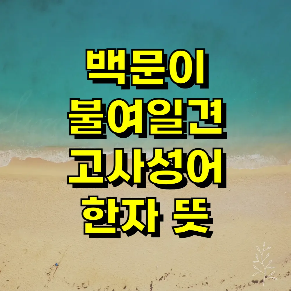 백문이 불여일견 고사성어 한자 뜻