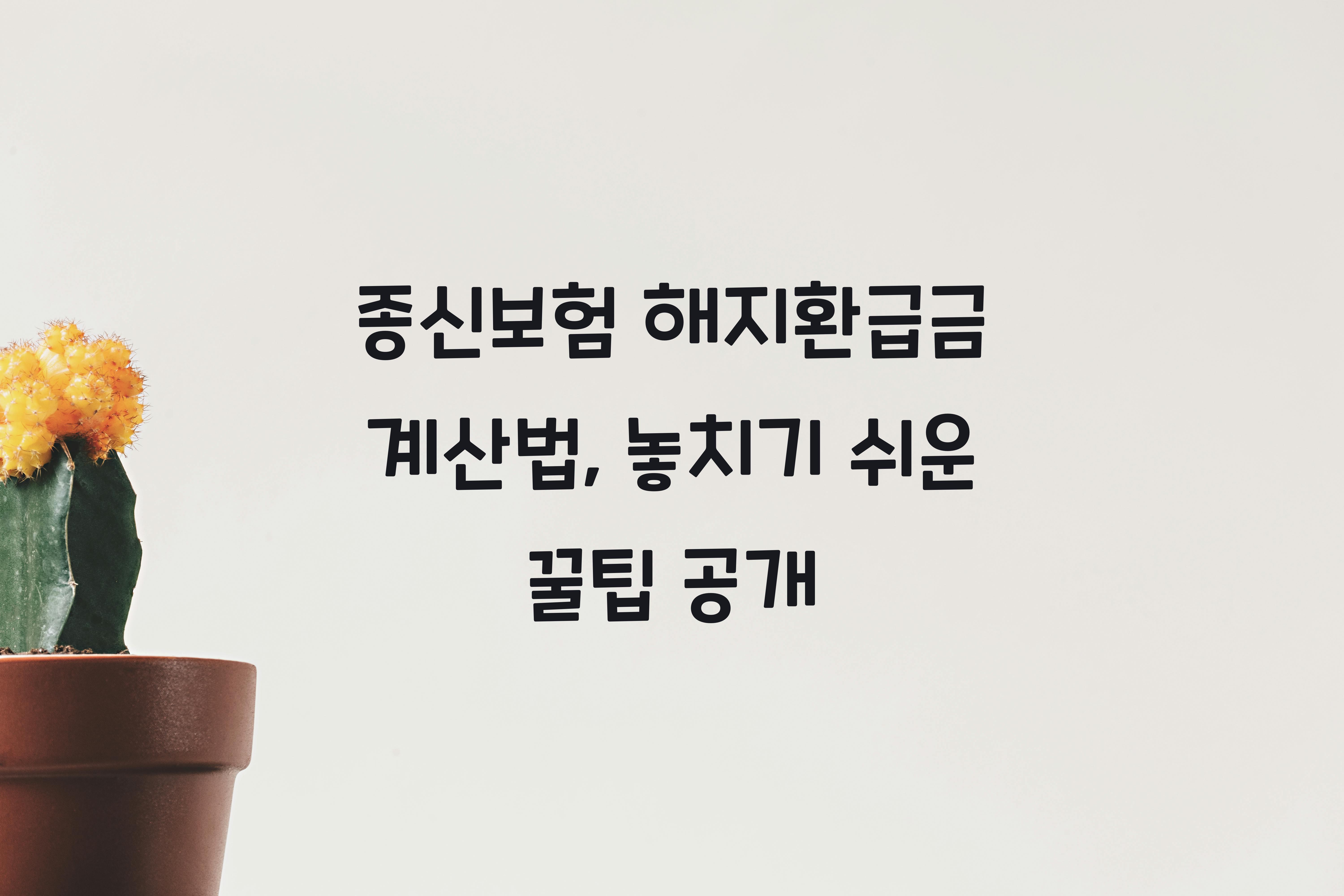 종신보험 해지환급금 계산법