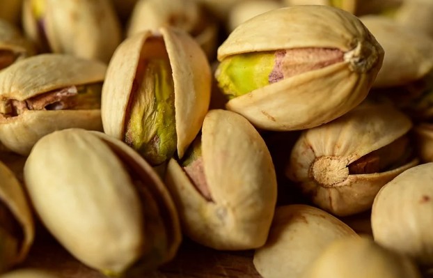 다이어트에 좋은 음식 - 단백질 많은 음식 5가지 (고단백 음식 추천)