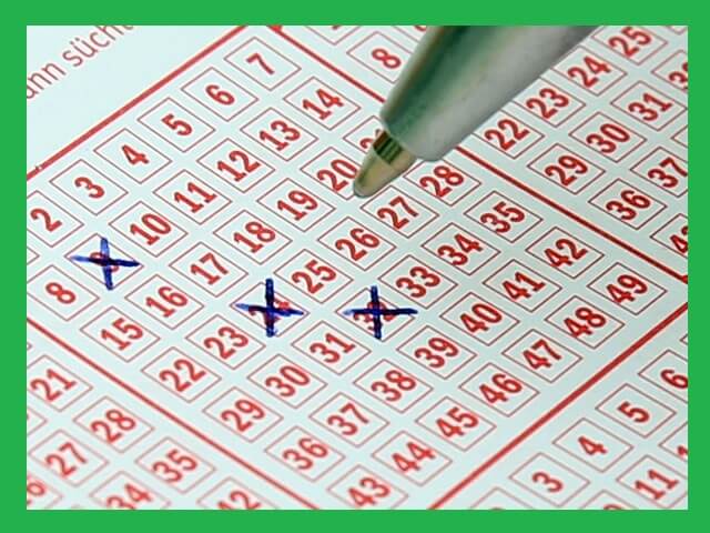 로또-번호-체크하는-모습