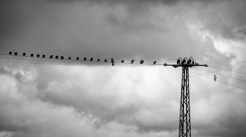 전기 기초 교육의 필요성