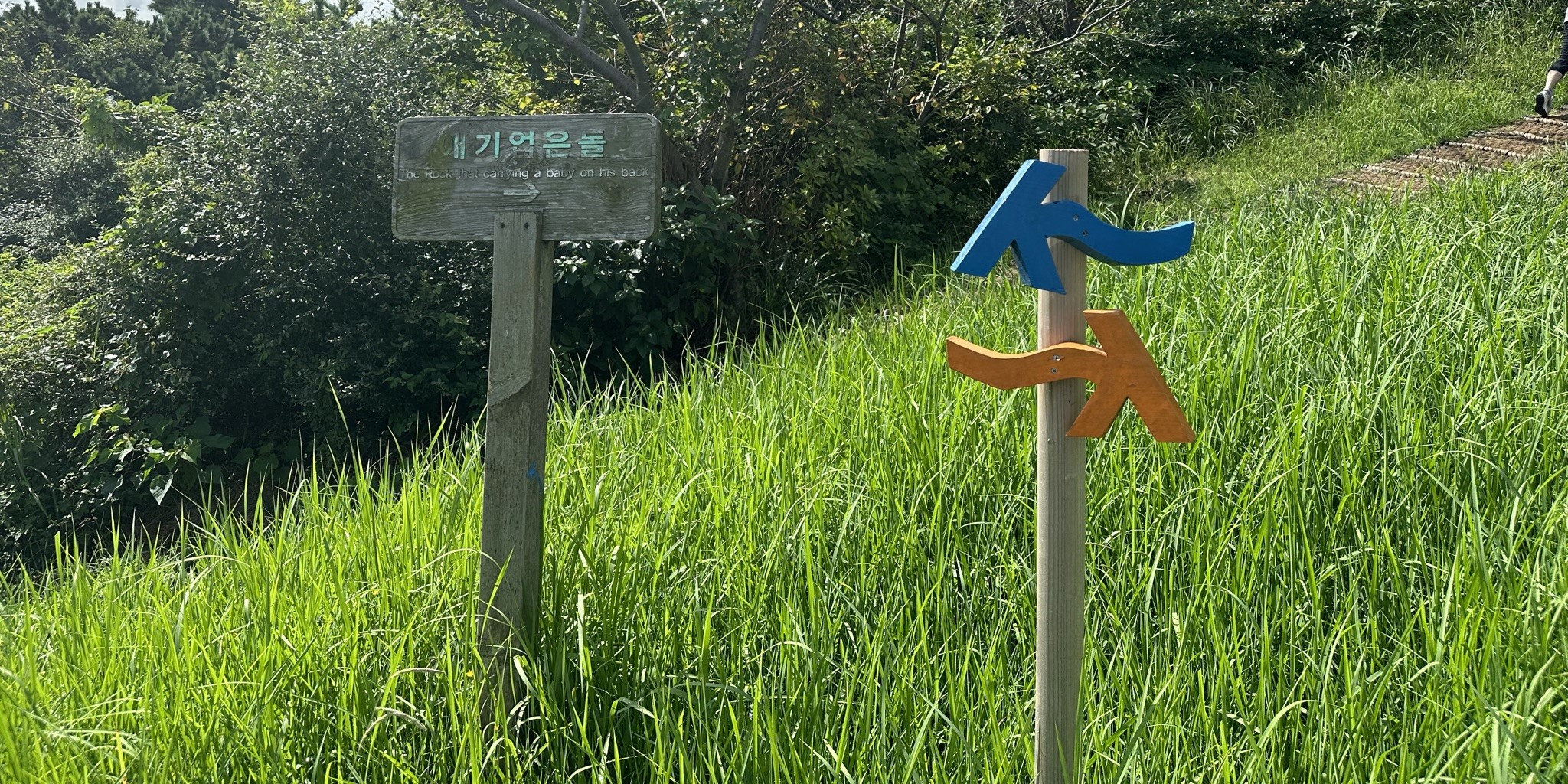 별도봉 산책로