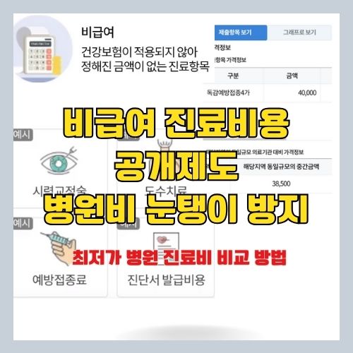 병원 진료비 비교는 건강보험심사평가원 공식 앱으로 - 독감예방접종 가격 등 비급여 진료비 절약하는 방법 썸네일