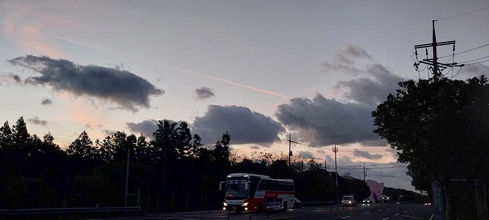 겨울바람 부는 아침 노을 배경의 억새