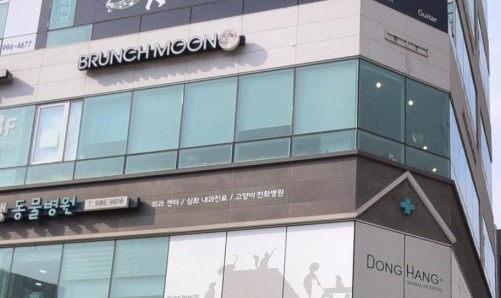 김포맛집 추천 7. 브런치문