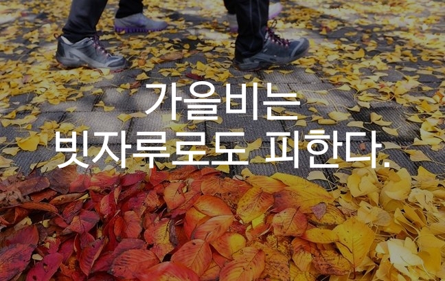 가을비는 빗자루로도 피한다.