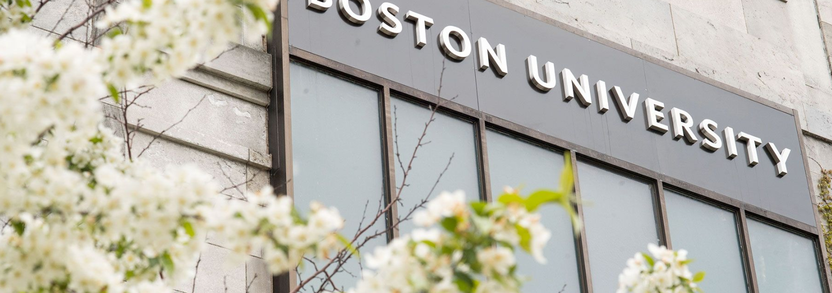 보스톤대학교