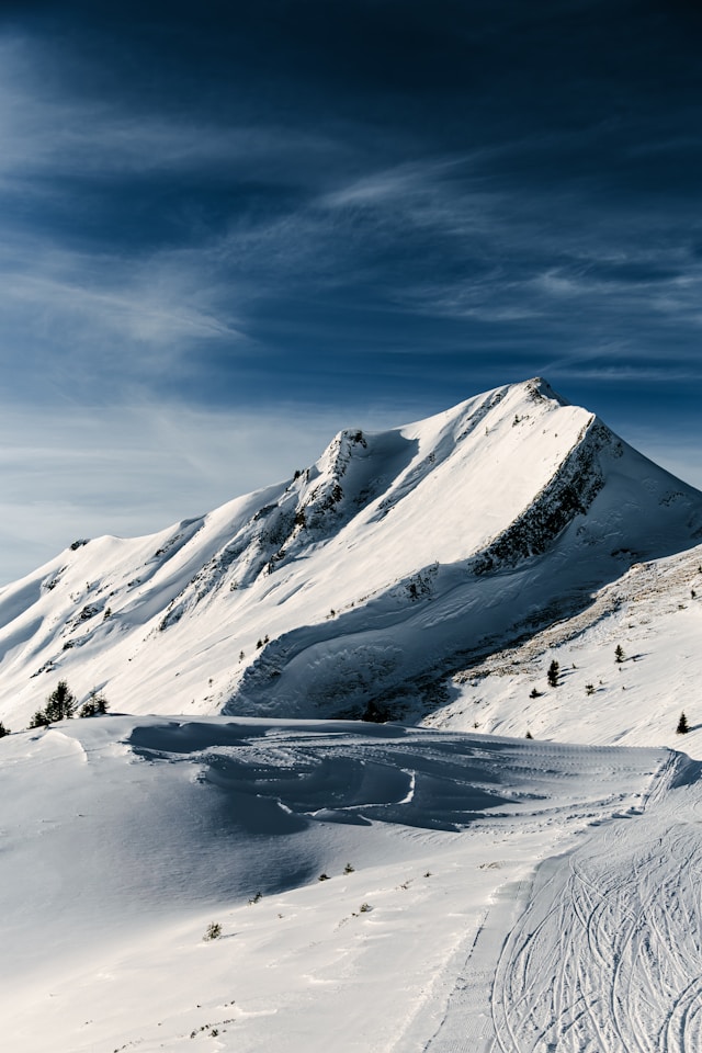 설악 워터피아 나이트 스파 할인 가격 꿀팁