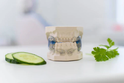 치과 교정비용 연말정산 14