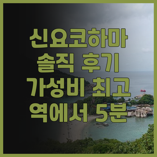 베스트 웨스턴 호텔 피노 신-요코하마..