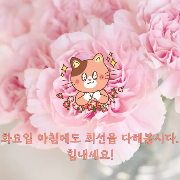 화요일 아침인사말