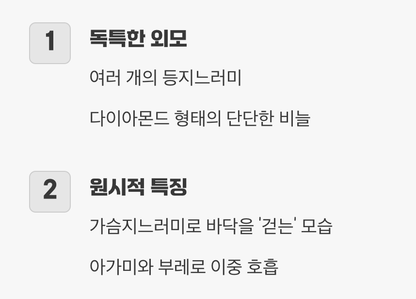 물속을 걷는 작은 용, 폴립테루스