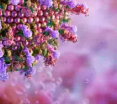 무료 접종 대상 바뀌었다? 2025년 독감 예방주사 최신 안내 및 주의사항 