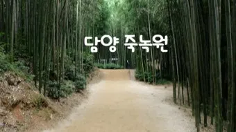 담양 죽녹원 소아르호텔 숙박 맛집_22