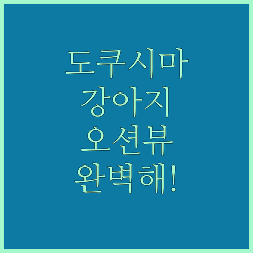 일본 도쿠시마 반려견 동반 숙소 추천..