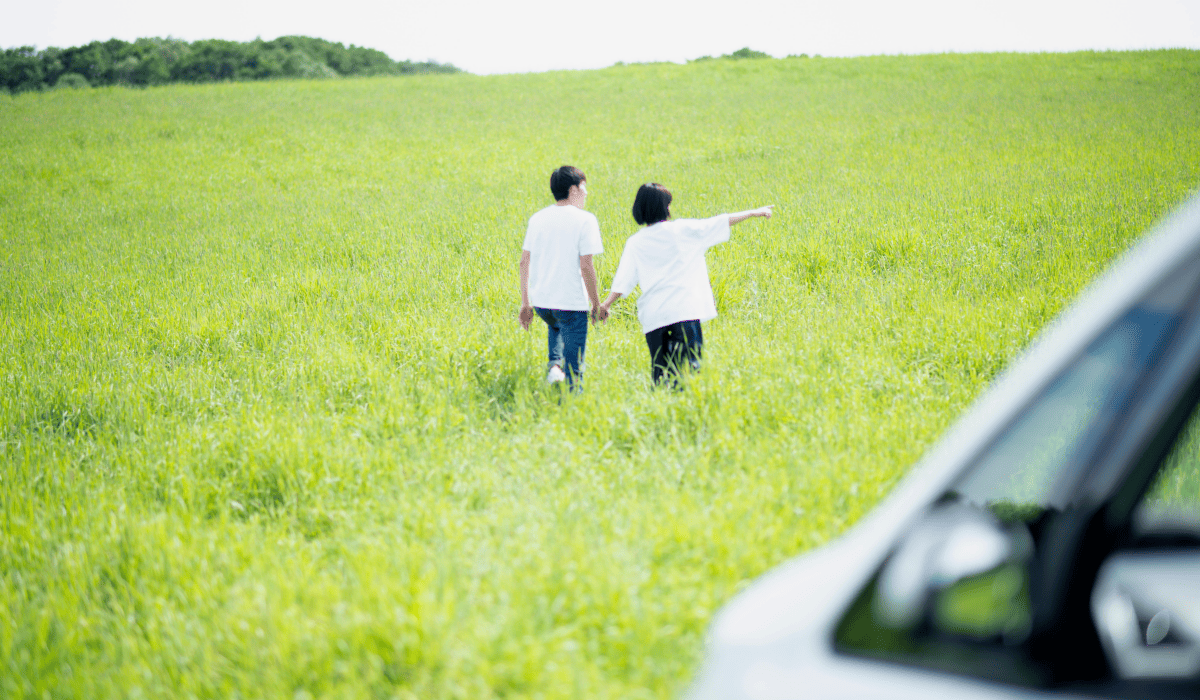 그랜저_중고차_가격시세표_33