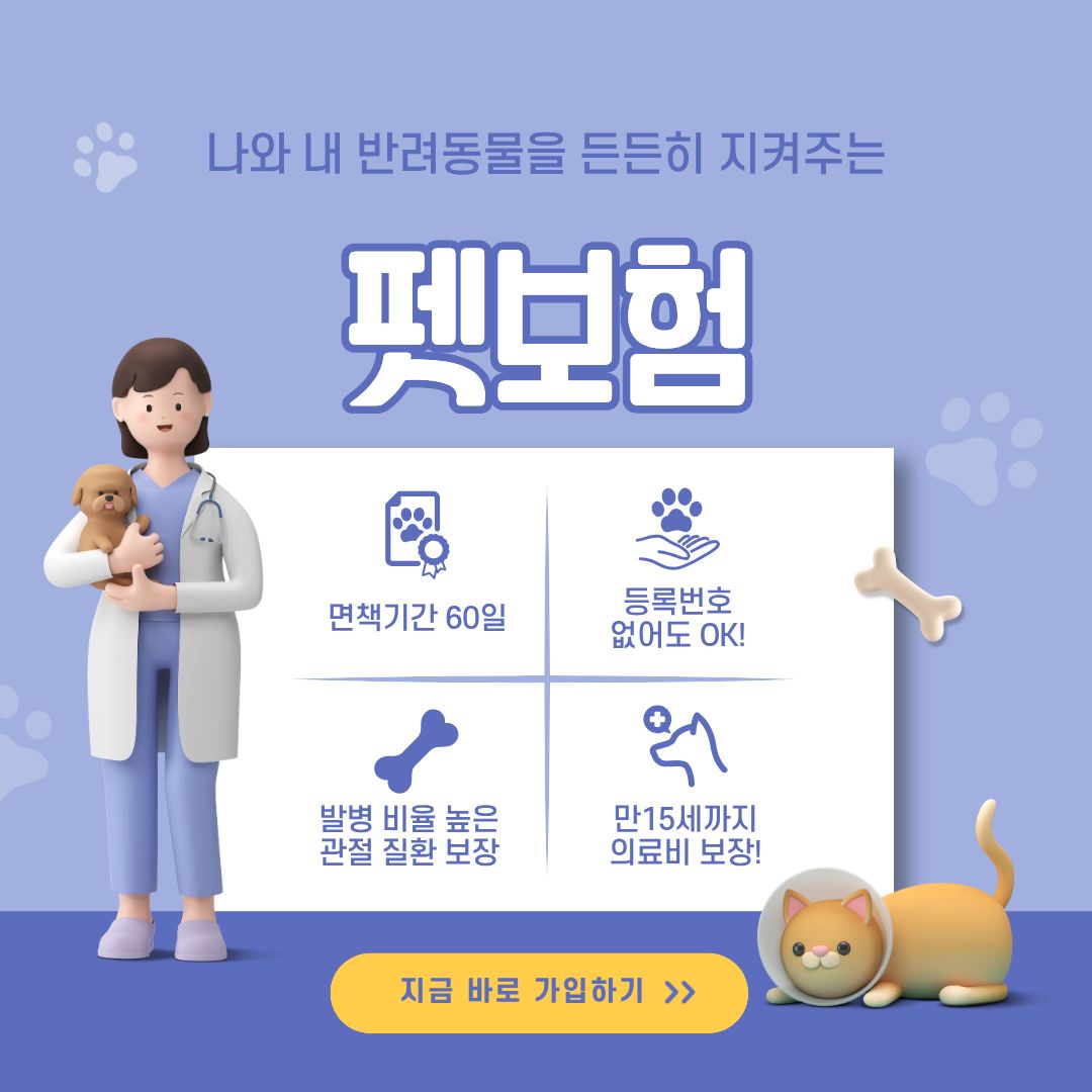 펫보험 재가입