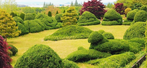 나주 산림자원연구소